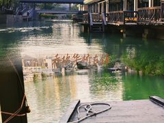 -赤坎·广东华侨国际旅游度假区