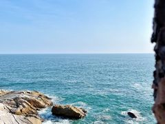 -广东惠东海龟国家级自然保护区