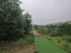 -亲兄弟真人CS团建拓展基地