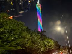 -广州都市观光巴士(粤陶巴)