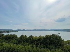 -杭州君悦酒店
