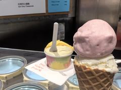 -Dip in Gelato(富民路店)