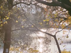 -溪口-滕头旅游景区