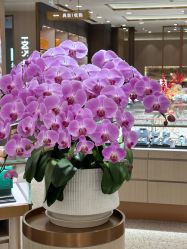 -品真阁(西红门荟聚店)