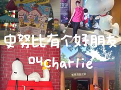 -史努比缤纷世界