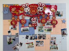 -美联众合动物医院·24h京西诊疗中心