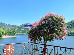 -沂蒙云瀑洞天景区