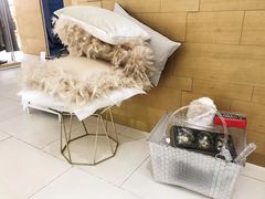 -ZARA(重庆华润万象城中区店)
