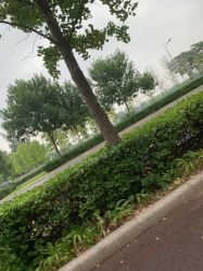 -HEYAN长风荷妍专业脱毛美肤
