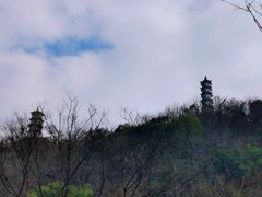 -紫阳古街