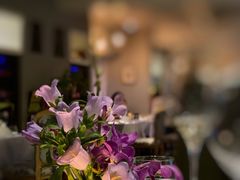 -蝶舍·MAISON PAPILLON