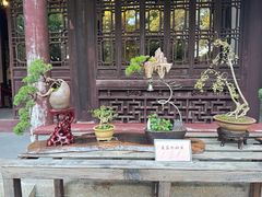 -秋霞圃