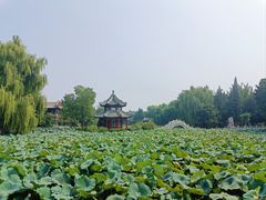 -莲池书院博物馆