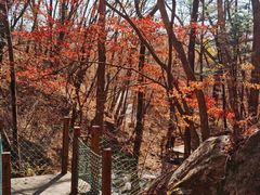 -丹东天桥沟景区