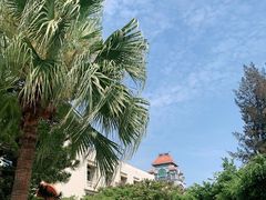 -厦门大学(思明校区)