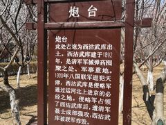 -桃花堤公园