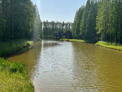 -黄海国家森林公园