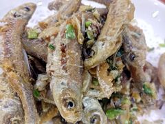 -全乐鱼馆·淳牌有机鱼直营店