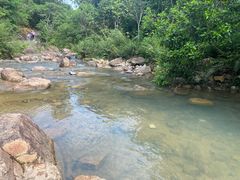 -广州白江湖森林公园