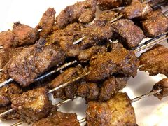 烤牦牛肉串-草原三宝汤锅