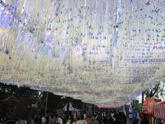 -祥源·阜阳生态乐园