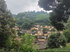 -杨家堂村