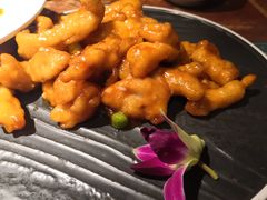 -前海沿·青岛菜(大拇指广场石老人店)