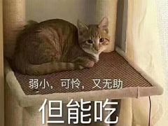 -熙春园餐厅