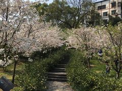 -南山植物园
