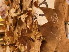 -知物癖(牛王庙店)