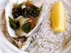 -九献创意菜·新中式(亮马河花园私宴店)