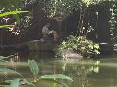 -燕晗山郊野公园
