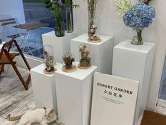 -追光 Dream Bakery(汉街店)