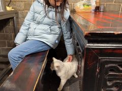 -张记牛肉面馆(天津路店)