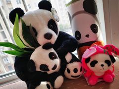 -熊猫屋(宽窄巷子景区店)