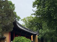 -灵谷景区