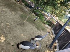 -上方山森林动物世界