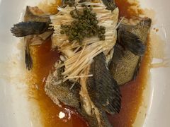 石斑鱼-开海·红岛海鲜虾水饺(石老人店)