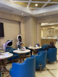 -碧莲盛·不剃发植发