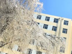 -吉林大学(南岭校区)