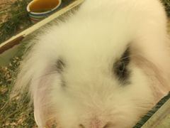 -龙猫仔乐园(惠福东路店)