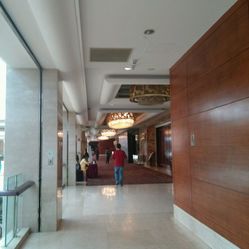 上海岭南汇官网助力城市生活新篇章