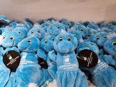 游乐设施-怀托摩萤火虫洞