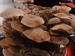 -捞王猪肚鸡火锅(财富中心店)