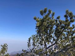 -少华山国家森林公园