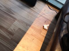 -有才叔的小馆(招商依云曲江店)