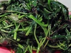 红苋菜-悦融琥珀·京鲁菜·海味珍品(西单店)