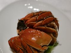 茅台百草醉蟹-海味观(老西门店)