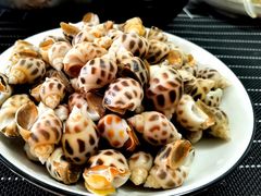 -鸿港海鲜批发市场