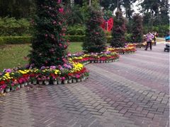 iphone_upload_pic-人民公园(罗湖区)